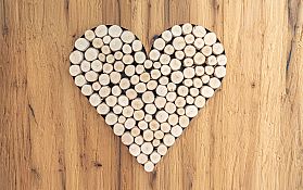 Bauen mit Holz